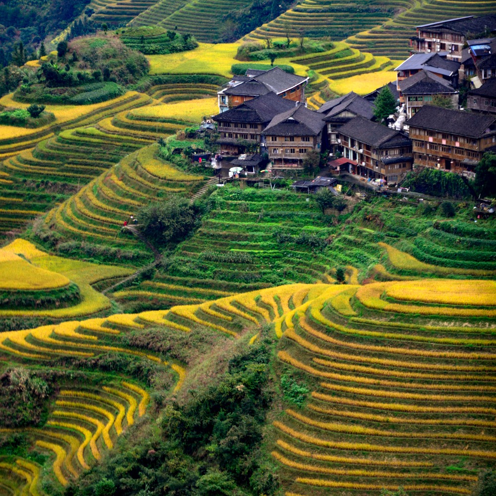 Longji